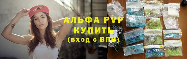 стаф Беломорск