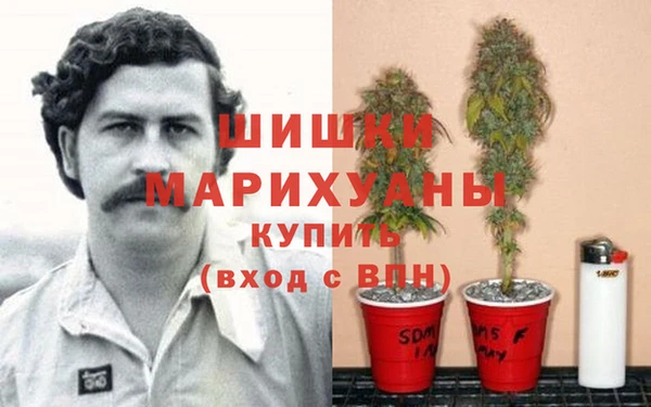 кокаин Белокуриха
