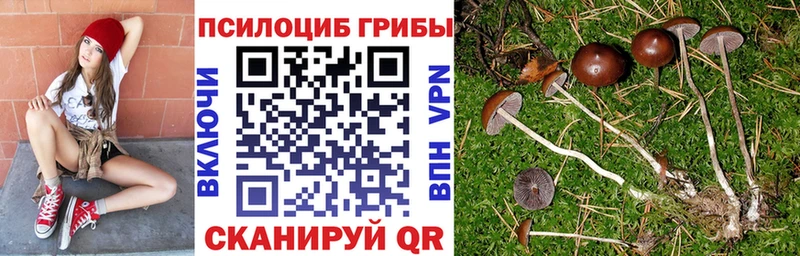 продажа наркотиков  Макаров  Галлюциногенные грибы Cubensis 